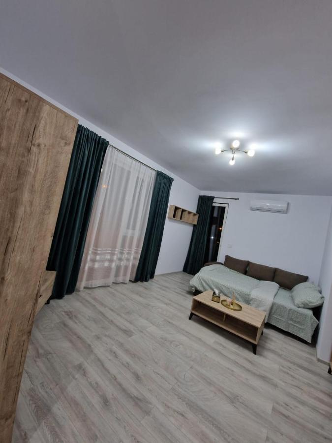 Ferienwohnung Apartament Modern Cu O Camera Timişoara Exterior foto