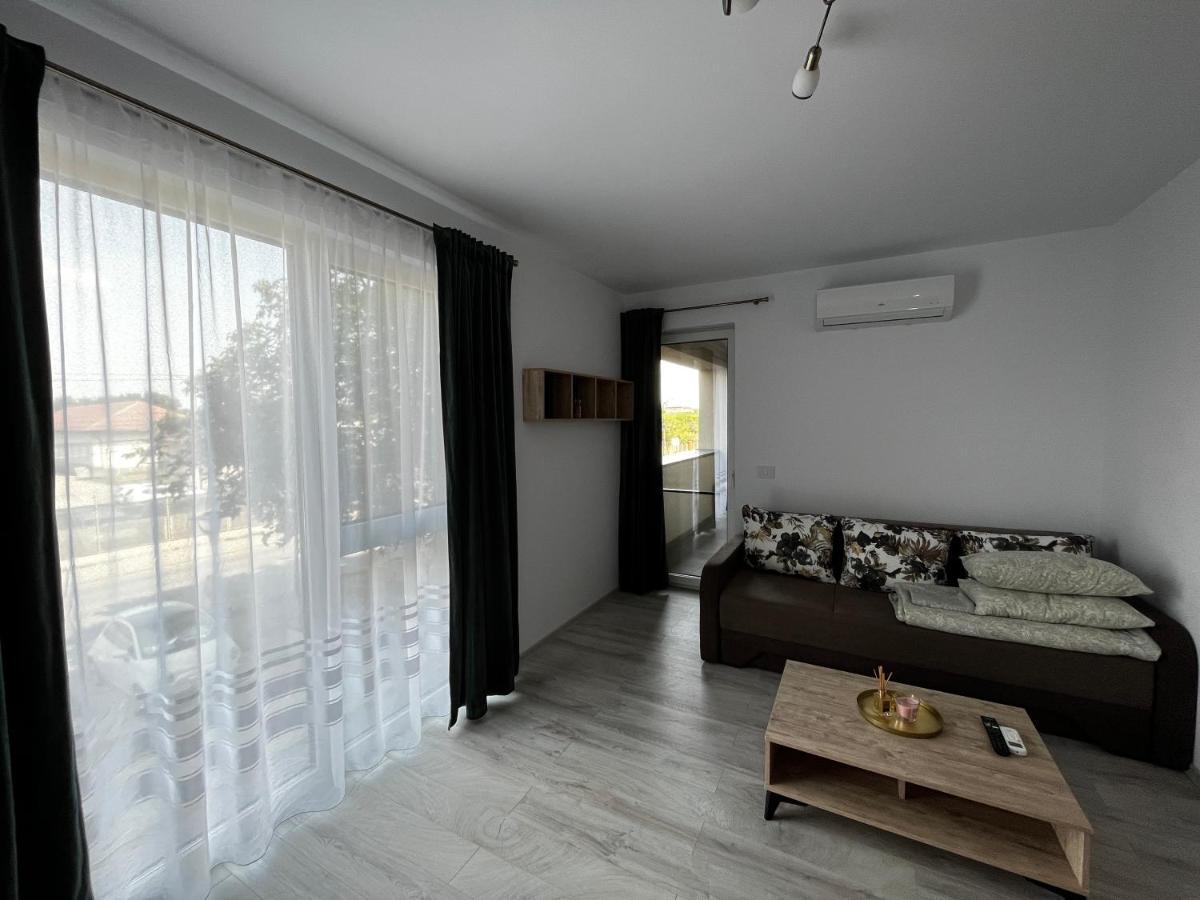 Ferienwohnung Apartament Modern Cu O Camera Timişoara Exterior foto